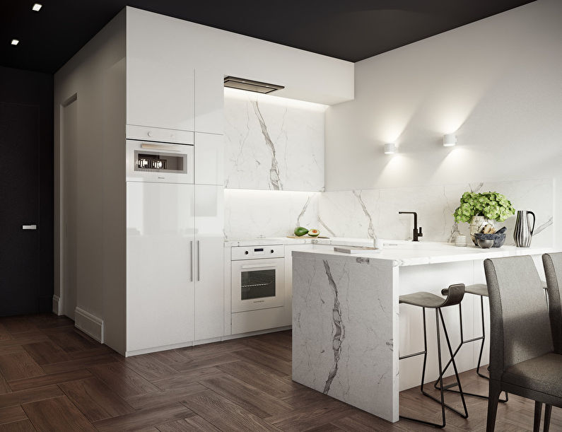 Design of a small kitchen in the style of minimalism - photo