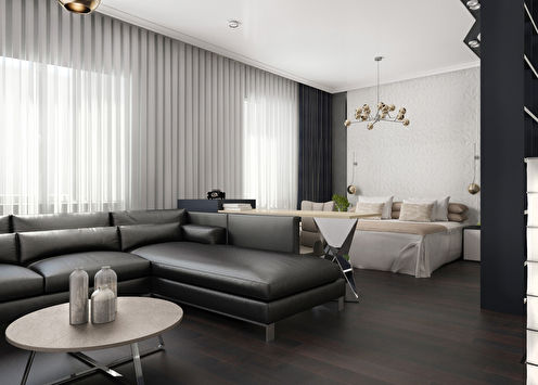 Black & White: Studio apartment 52 sq.m.