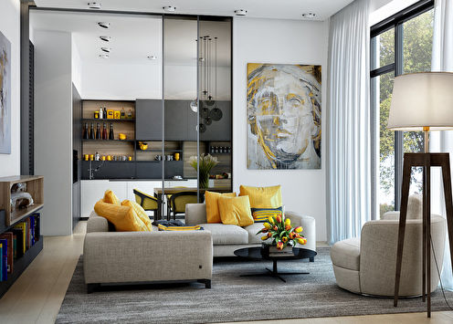 Modern kitchen-living room in a private house