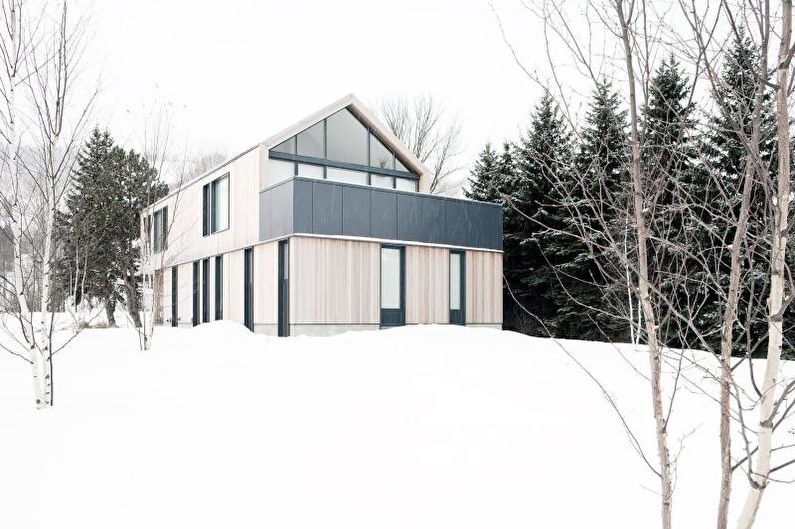 Ang harapan ng isang bahay ng bansa sa estilo ng Scandinavian - larawan