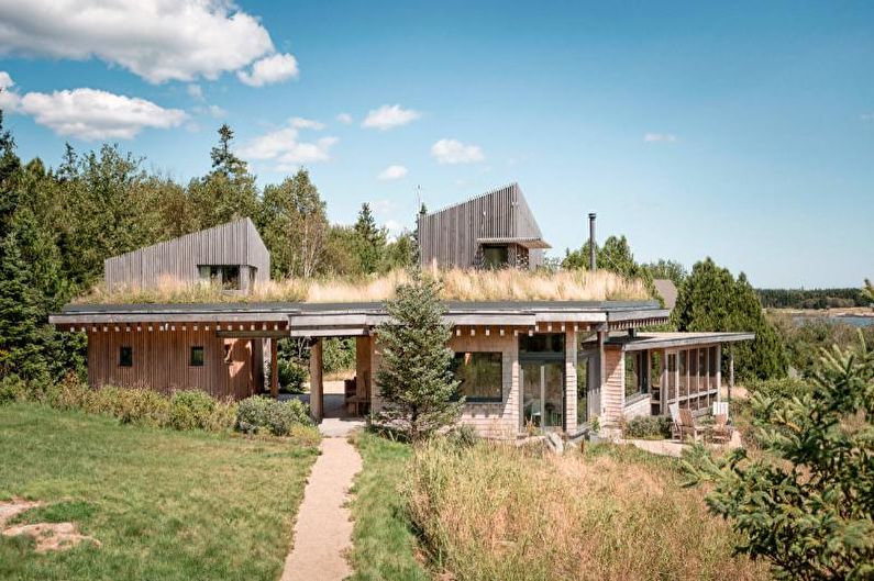 Bubong para sa isang bahay na istilo ng Scandinavian - larawan