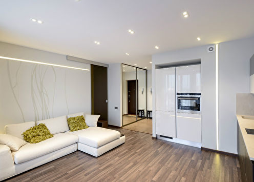 “More Light”: Apartment Design
