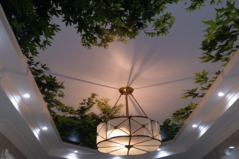 Stretch ceiling with photo printing in the hallway - photo
