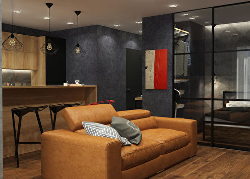 Studio apartment in the loft style