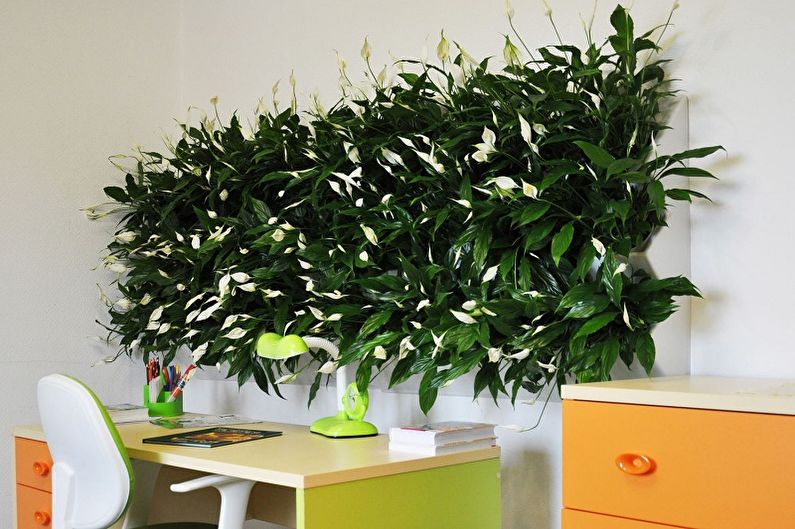 DIY Wall Decor - Plants