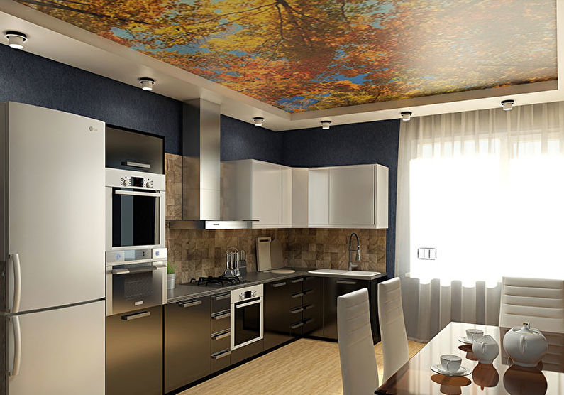 Two-level stretch ceilings in the kitchen