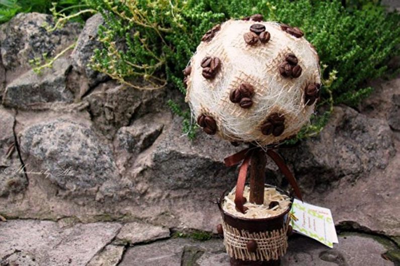 Coffee topiary in the interior