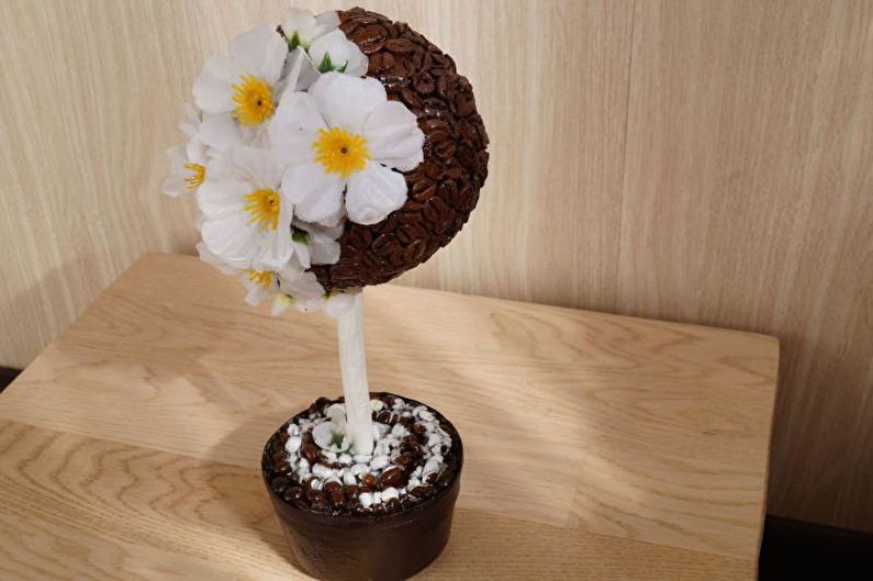 DIY coffee topiary (coffee tree) - photo