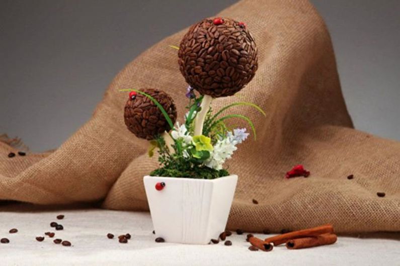 DIY coffee topiary (coffee tree) - photo