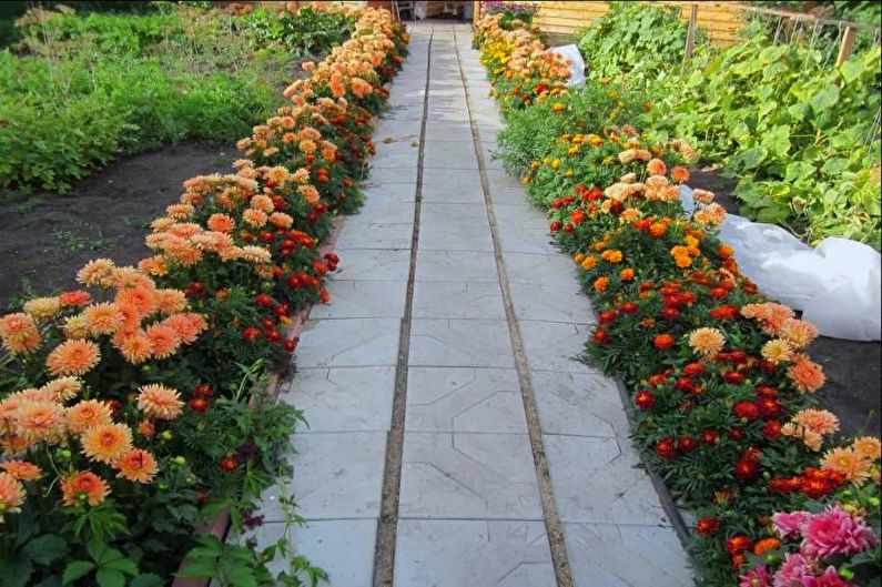 Border - Flowerbed at the cottage, ideas for landscape design