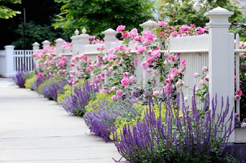 Border - Flowerbed at the cottage, ideas for landscape design