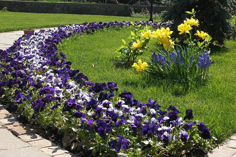 Border - Flowerbed at the cottage, ideas for landscape design
