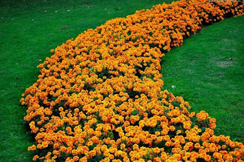 Rabatka - Flowerbed at the cottage, ideas for landscape design
