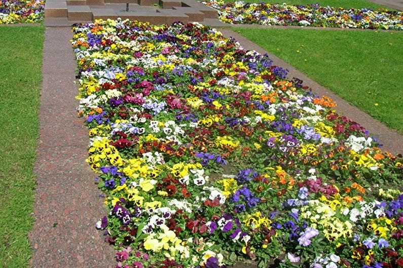 Rabatka - Flowerbed at the cottage, ideas for landscape design