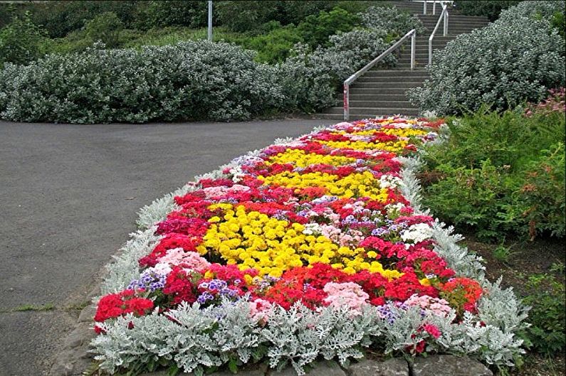 Rabatka - Flowerbed at the cottage, ideas for landscape design
