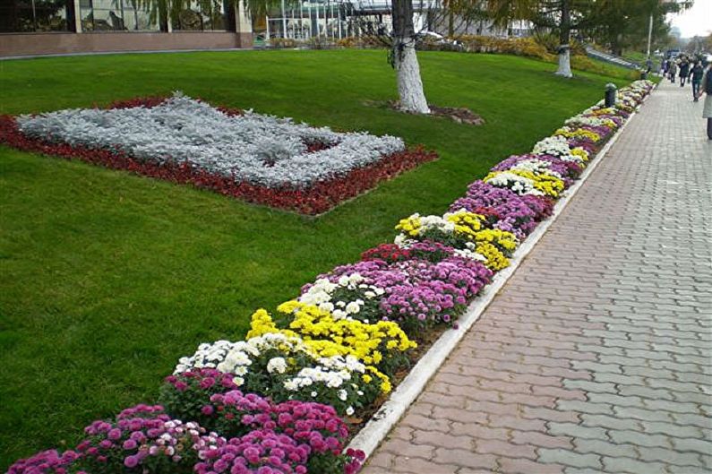 Rabatka - Flowerbed at the cottage, ideas for landscape design