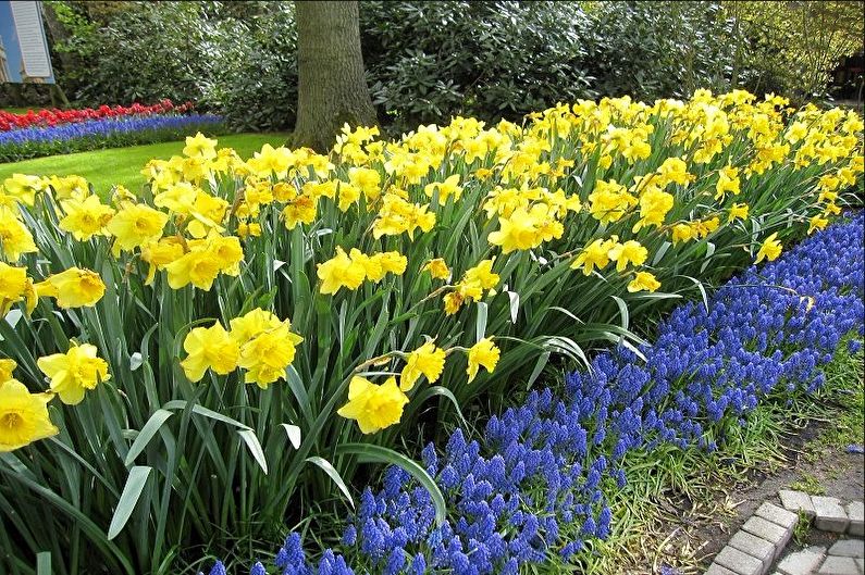 Rabatka - Flowerbed at the cottage, ideas for landscape design