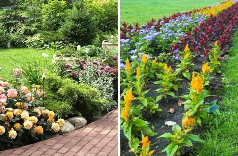 Rabatka - Flowerbed at the cottage, ideas for landscape design
