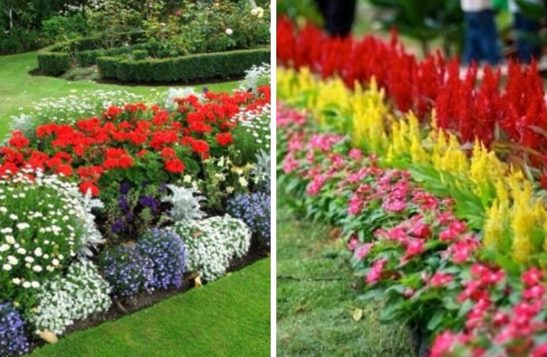 Rabatka - Flowerbed at the cottage, ideas for landscape design