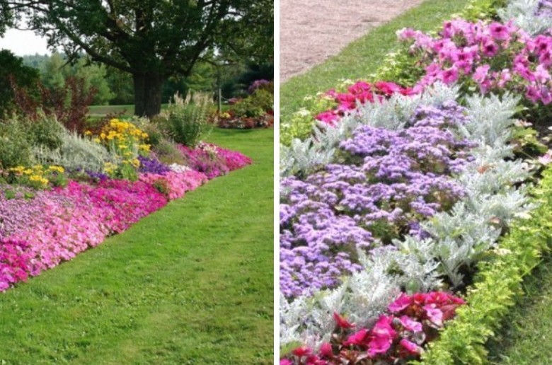 Rabatka - Flowerbed at the cottage, ideas for landscape design