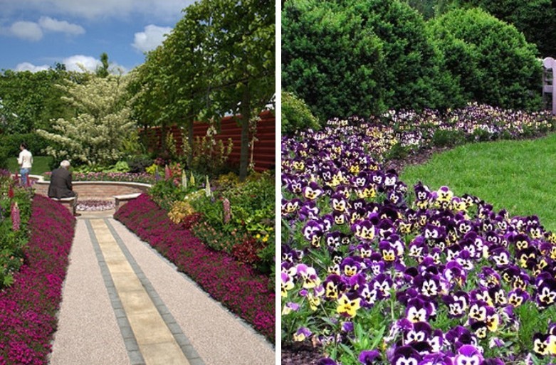 Rabatka - Flowerbed at the cottage, ideas for landscape design