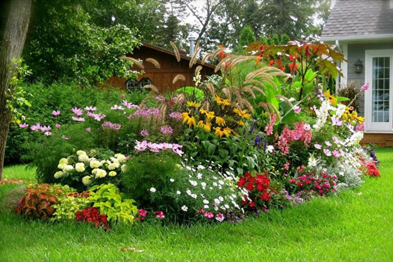 Mixborder - Flowerbed at the cottage, ideas for landscape design
