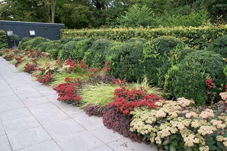 Mixborder - Flowerbed at the cottage, ideas for landscape design