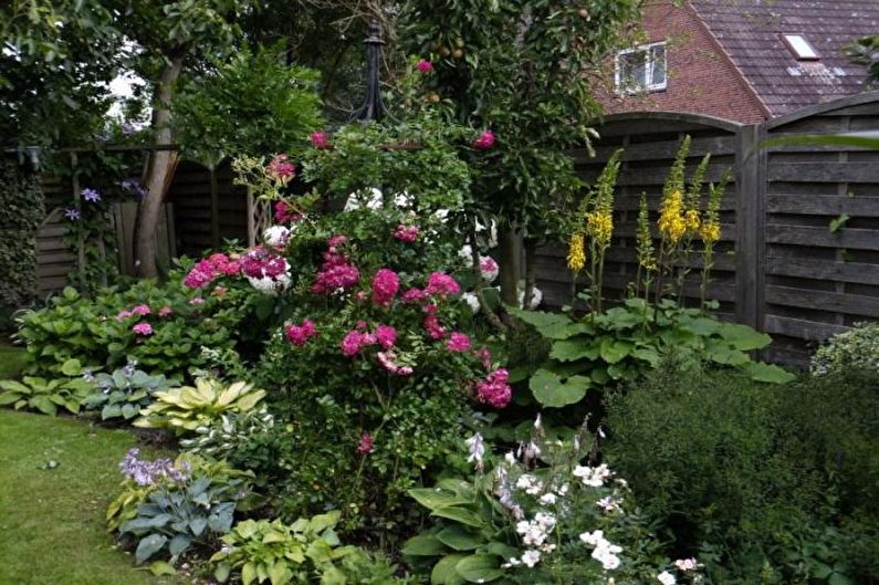 Mixborder - Flowerbed at the cottage, ideas for landscape design