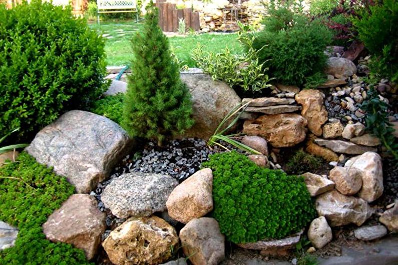 Stone Garden - Flowerbed at the cottage, ideas for landscape design