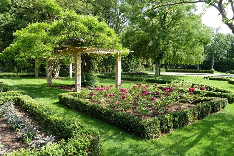 Monocots - Flowerbed at the cottage, ideas for landscape design
