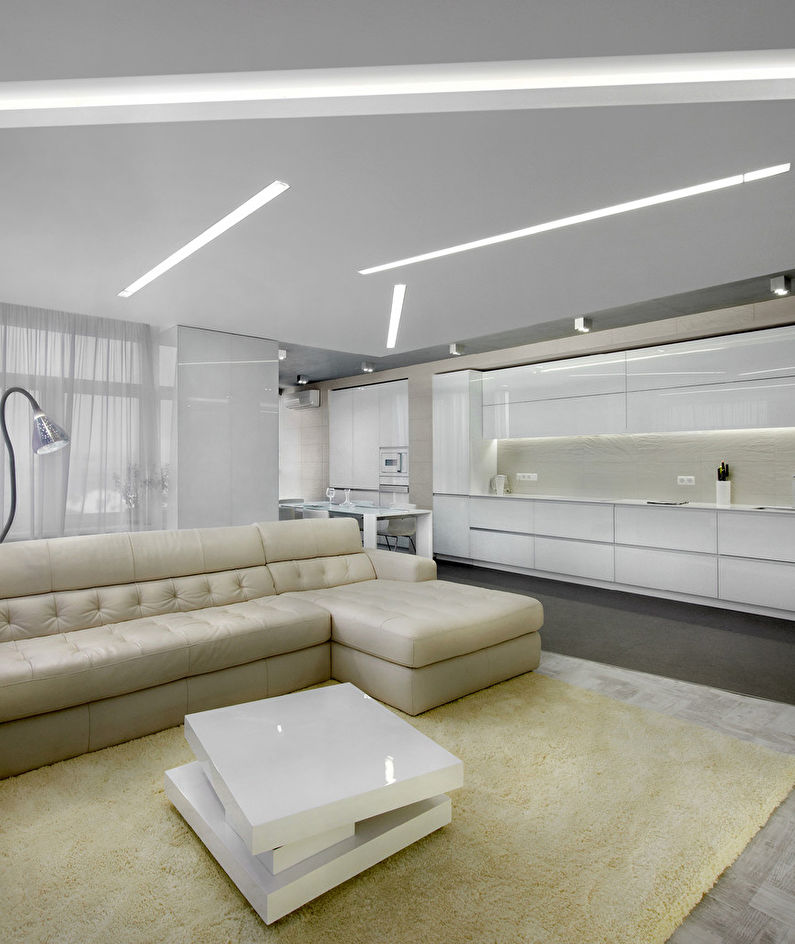 Minimal Concept: Kitchen-Living Room Interior - photo 3