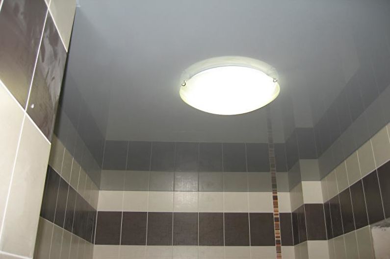 Small Toilet Design - Ceiling Finish