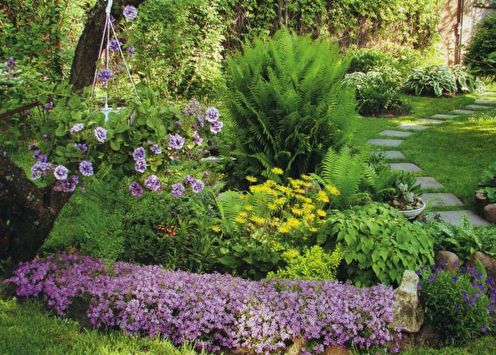 Flowerbed in the country: 7 ideas for landscape design