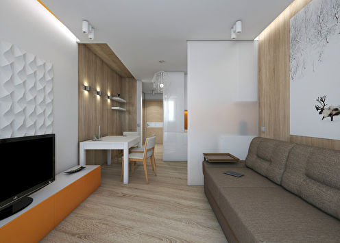 Apartment interior 27 m2