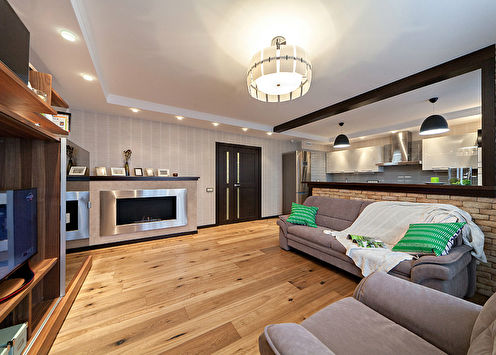 Apartment for a young man