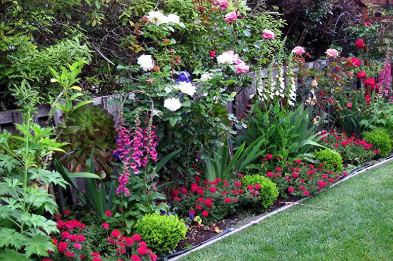 Flowers for the garden - Types