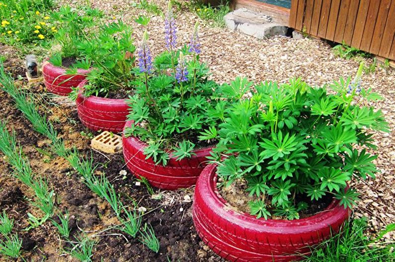 Flowers for the garden - Flower bed in tires