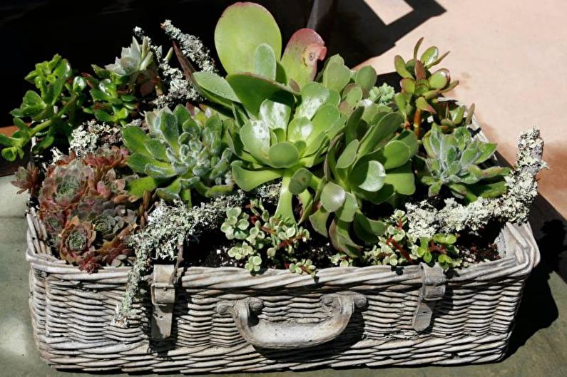 Flowers for the Cottage - Flower Garden Using Old Things