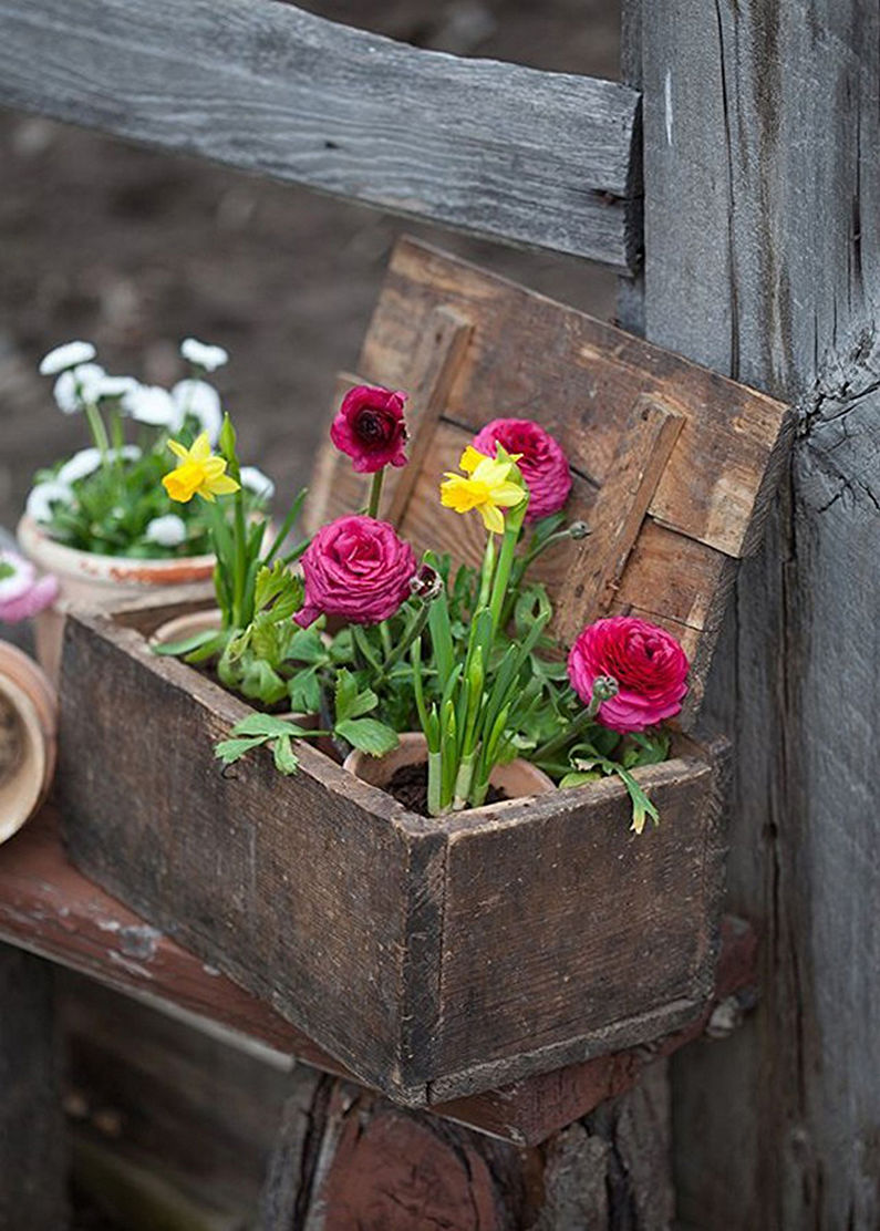 Flowers for the Cottage - Flower Garden Using Old Things