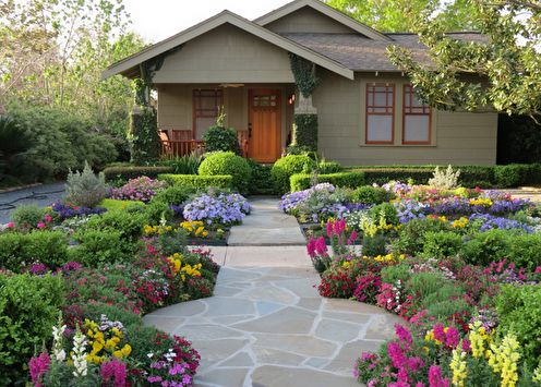 Flowers for a summer residence: features, types, ideas for a flower garden