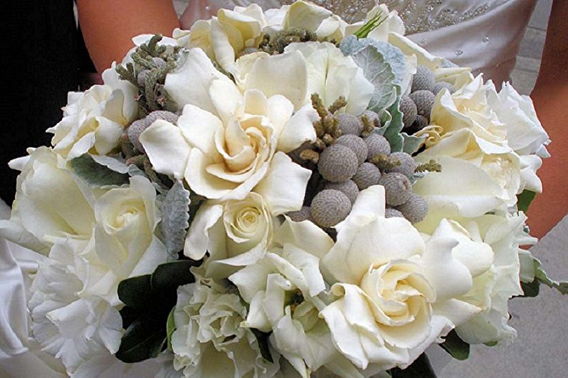 Gardenia - photo