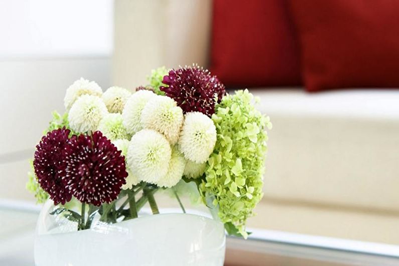 Dahlias - valokuva