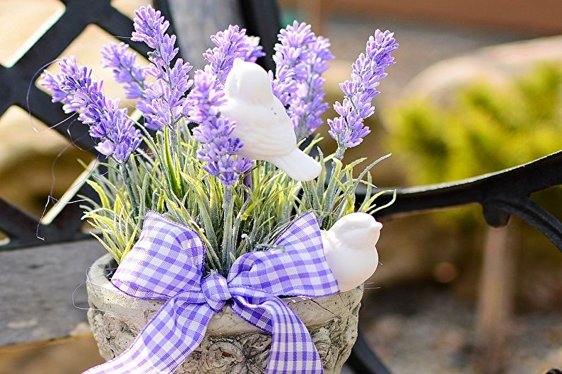Lavender - photo