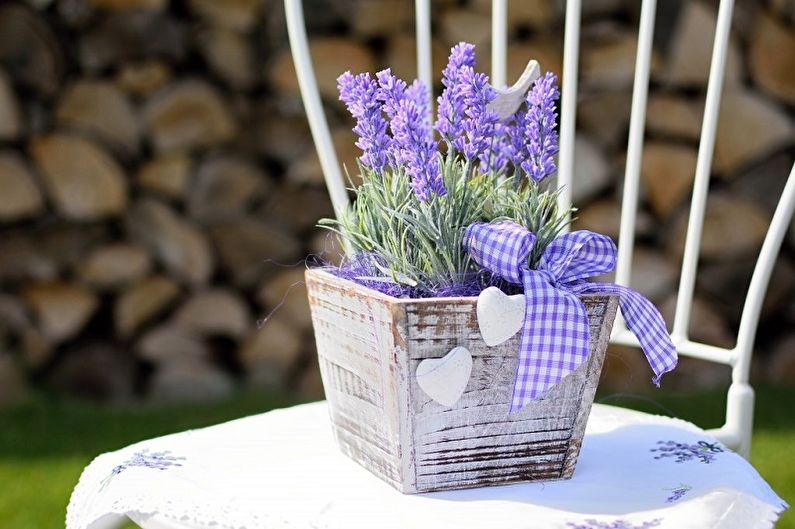Lavender - photo