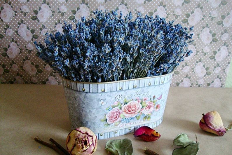 Lavender - photo