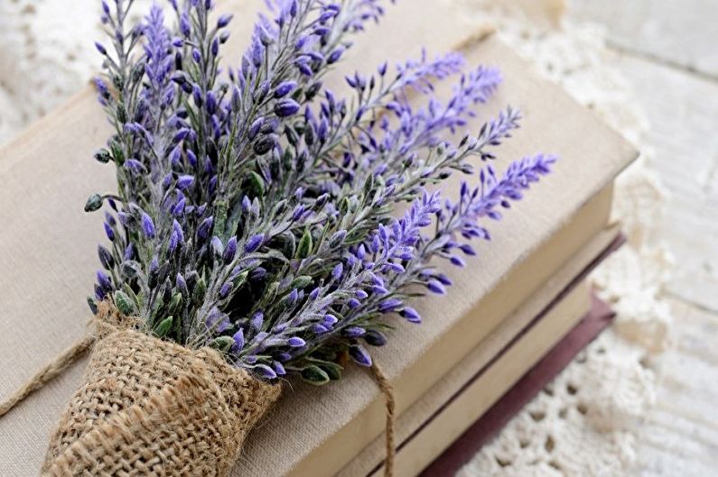 Lavender - photo