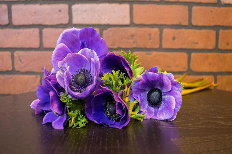 Anemones - photo