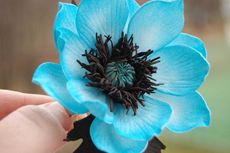 Anemones - photo
