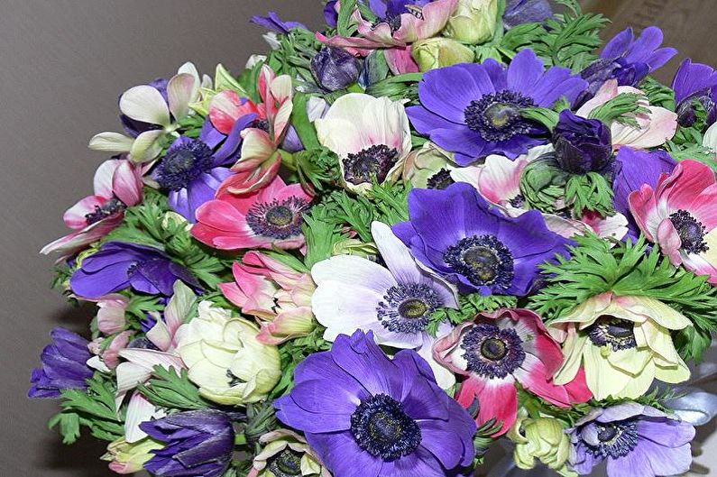 Anemones - photo