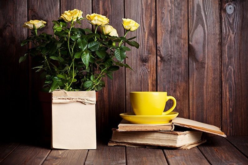 Indoor rose - photo